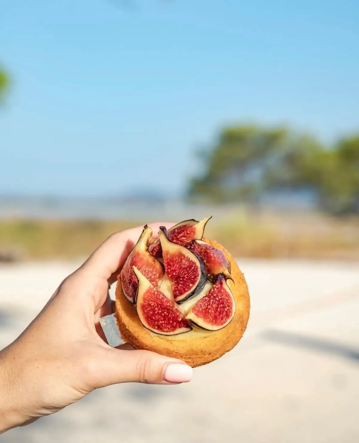 Tarte aux figues fraîches